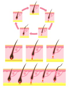 Stacks Image 40